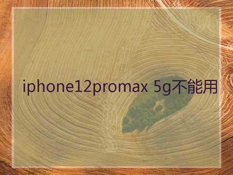 iphone12promax 5g不能用