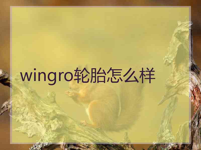 wingro轮胎怎么样