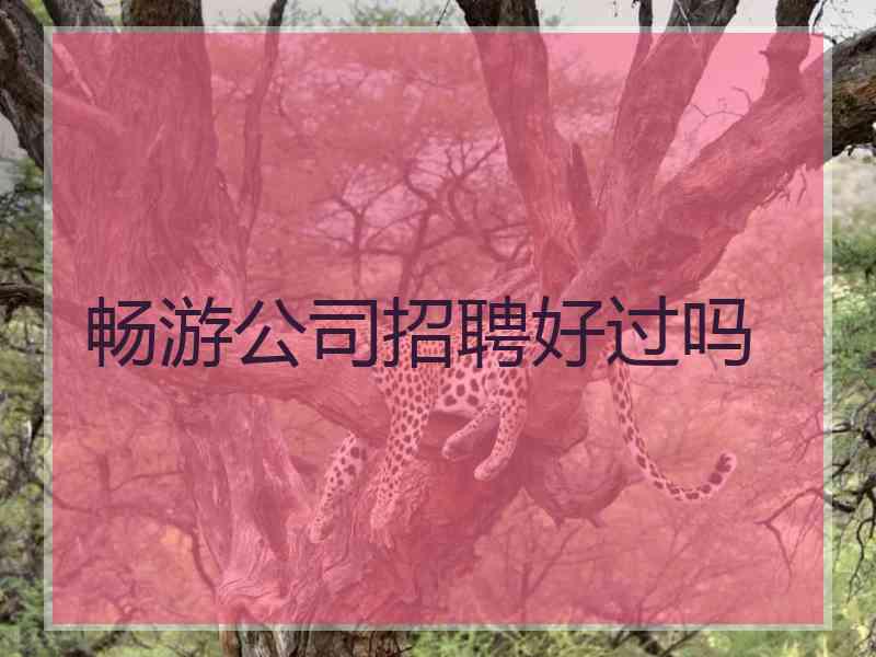 畅游公司招聘好过吗