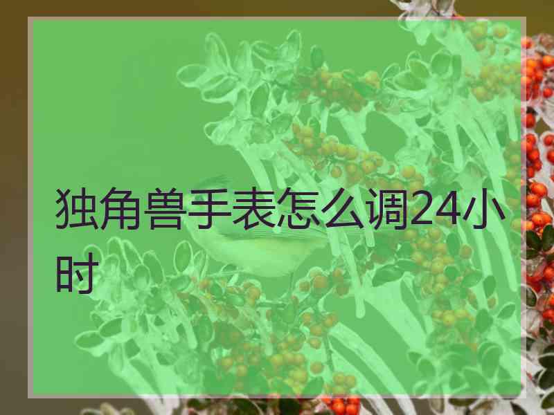 独角兽手表怎么调24小时