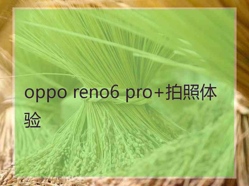 oppo reno6 pro+拍照体验