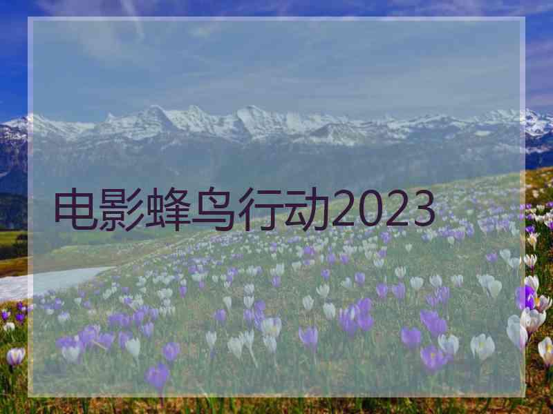 电影蜂鸟行动2023