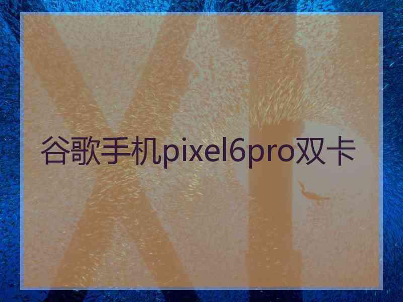 谷歌手机pixel6pro双卡