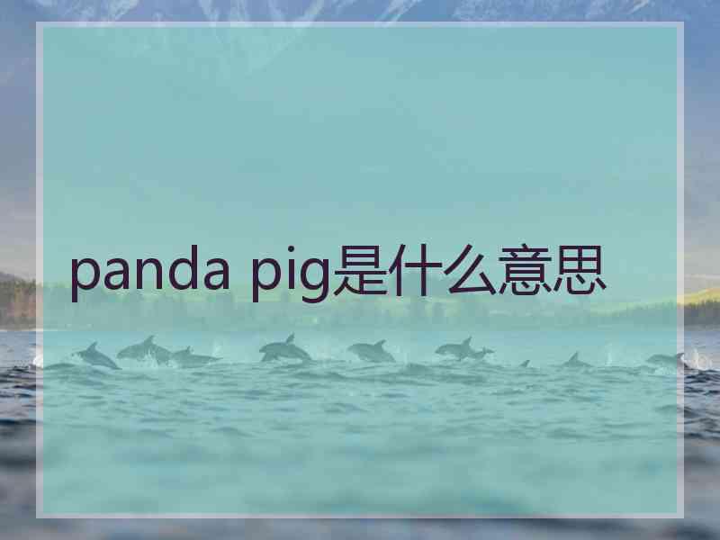 panda pig是什么意思