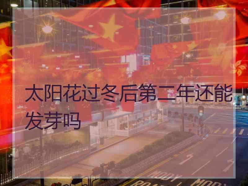 太阳花过冬后第二年还能发芽吗