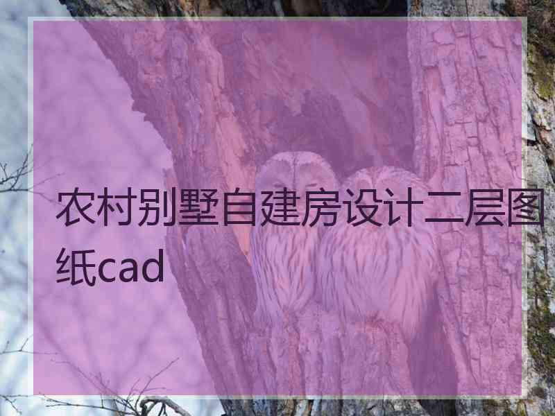 农村别墅自建房设计二层图纸cad