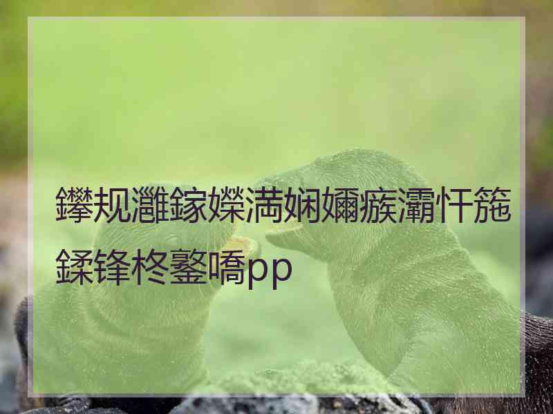 鑻规灉鎵嬫満娴嬭瘯灞忓箷鍒锋柊鐜嘺pp