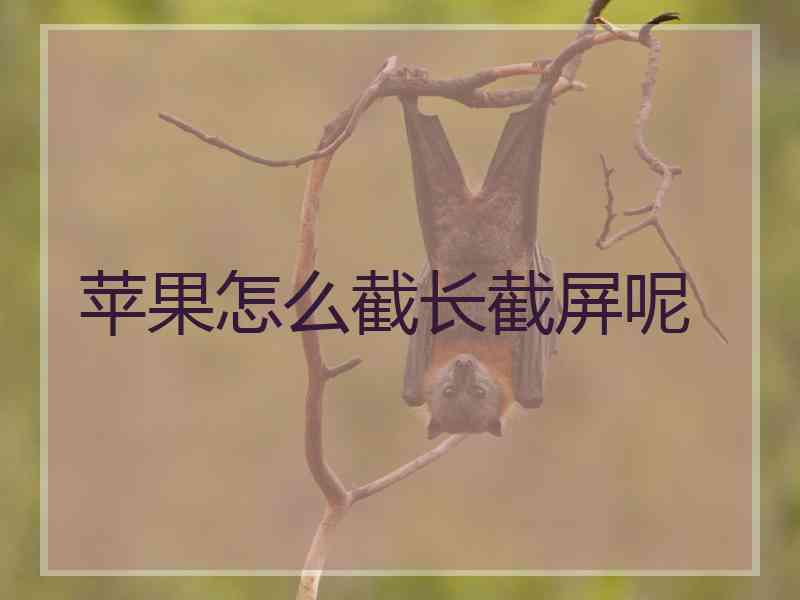 苹果怎么截长截屏呢