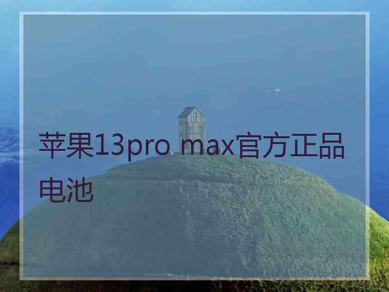 苹果13pro max官方正品电池