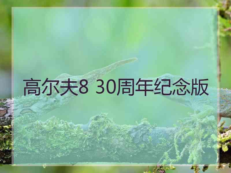 高尔夫8 30周年纪念版