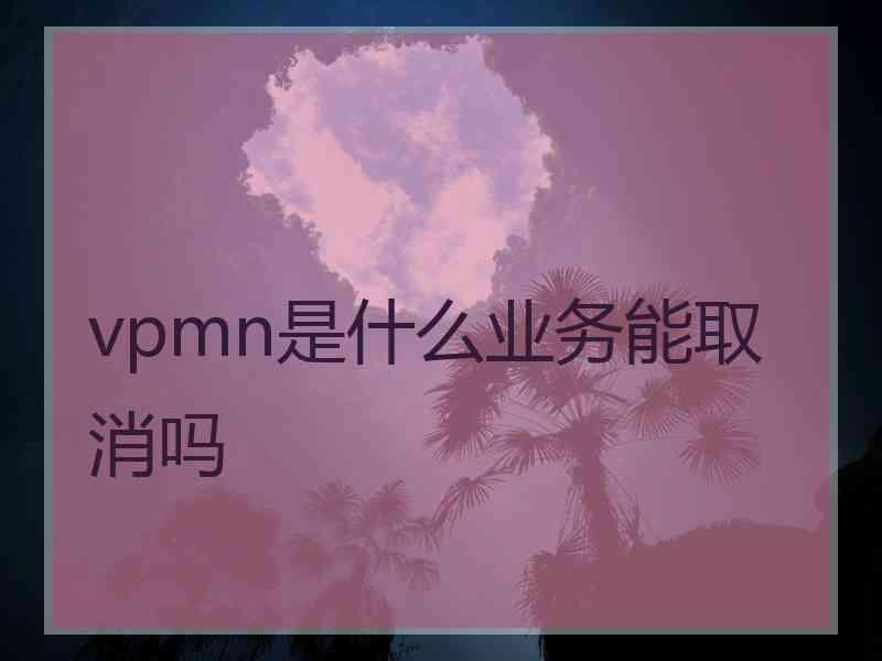 vpmn是什么业务能取消吗