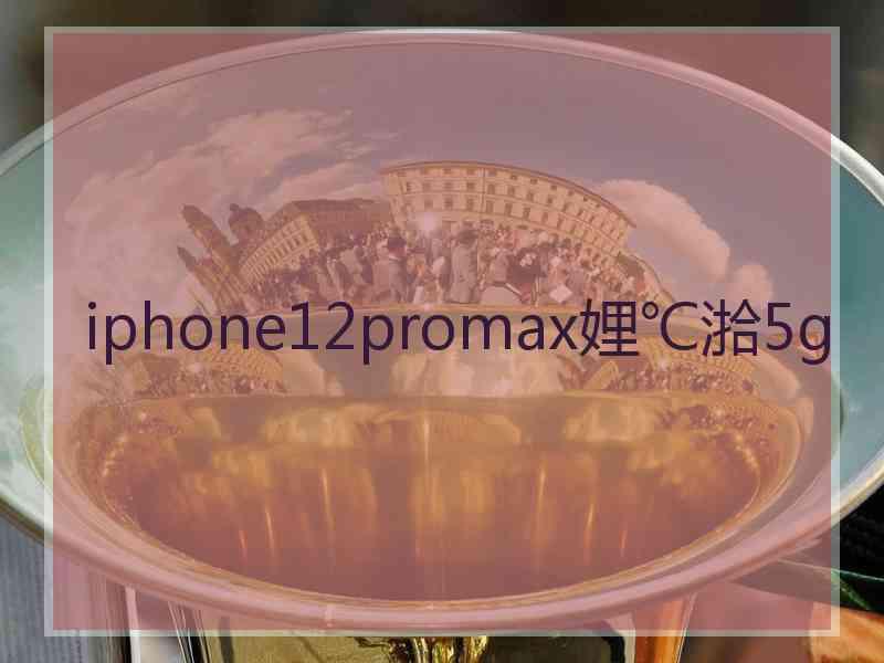 iphone12promax娌℃湁5g