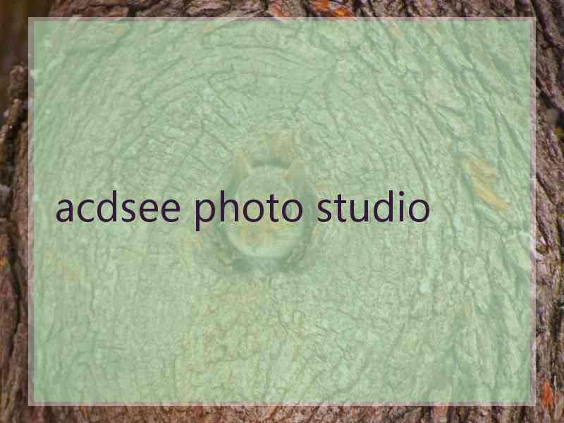 acdsee photo studio