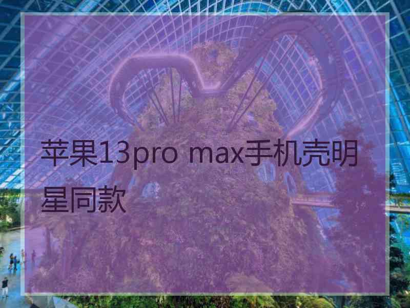 苹果13pro max手机壳明星同款