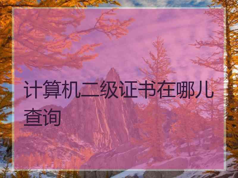 计算机二级证书在哪儿查询