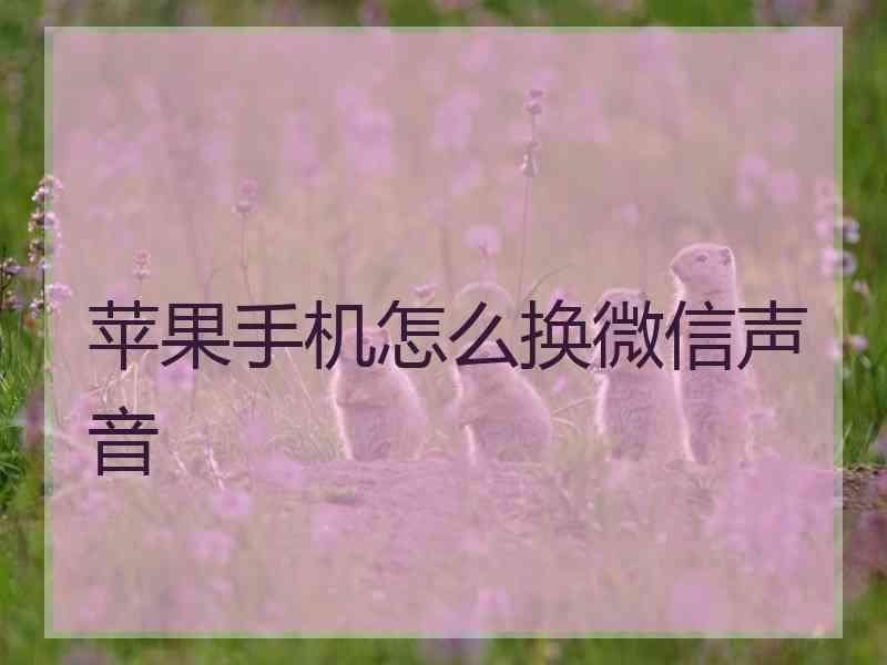 苹果手机怎么换微信声音