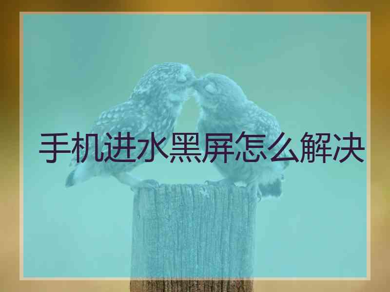 手机进水黑屏怎么解决