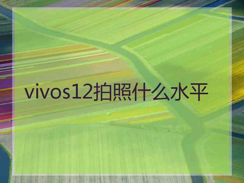 vivos12拍照什么水平