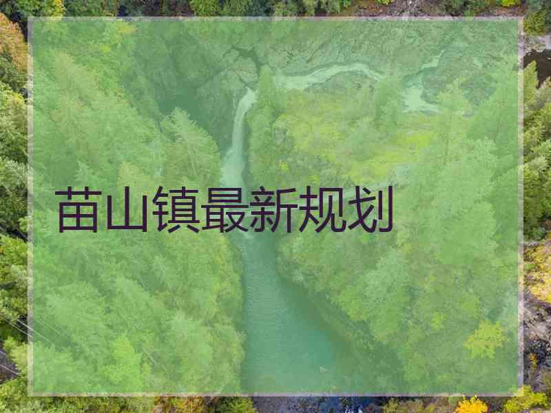 苗山镇最新规划