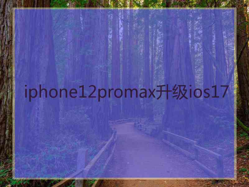 iphone12promax升级ios17