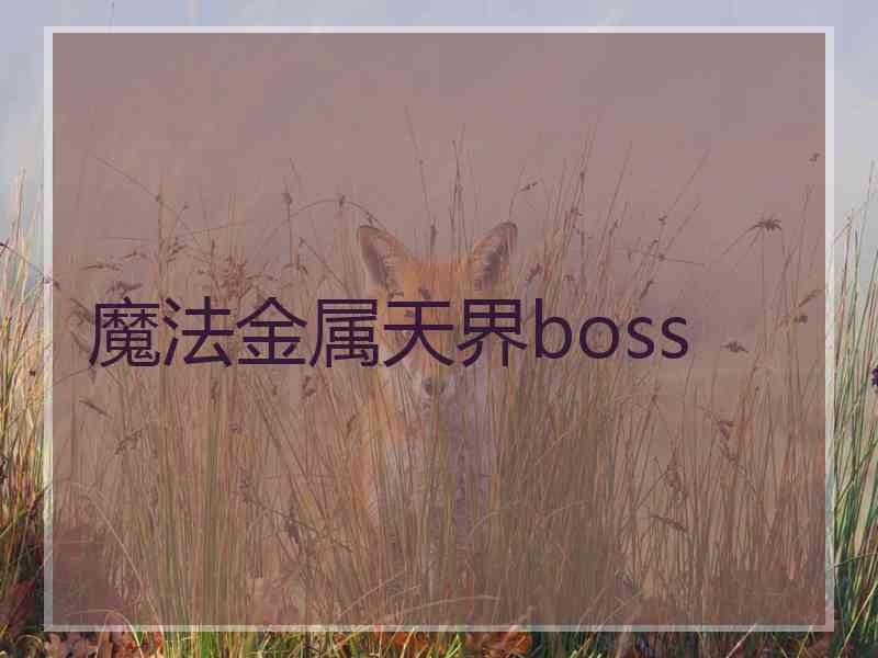 魔法金属天界boss