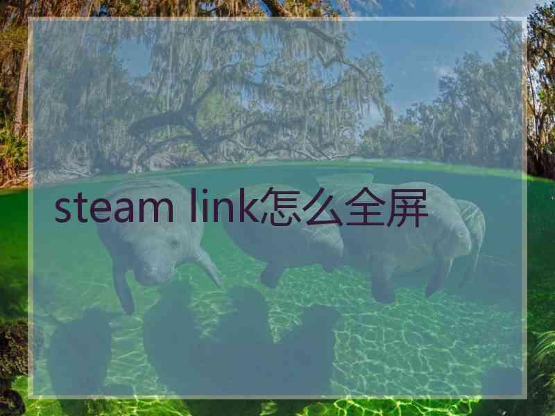 steam link怎么全屏