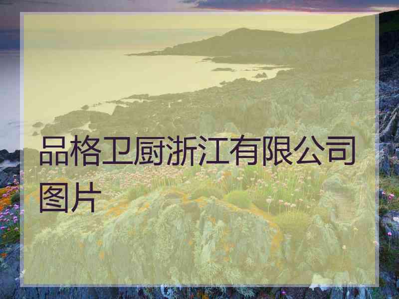 品格卫厨浙江有限公司图片