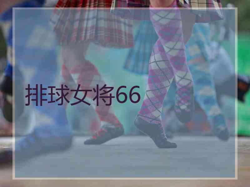 排球女将66