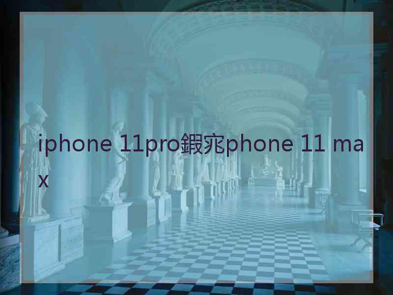 iphone 11pro鍜宨phone 11 max