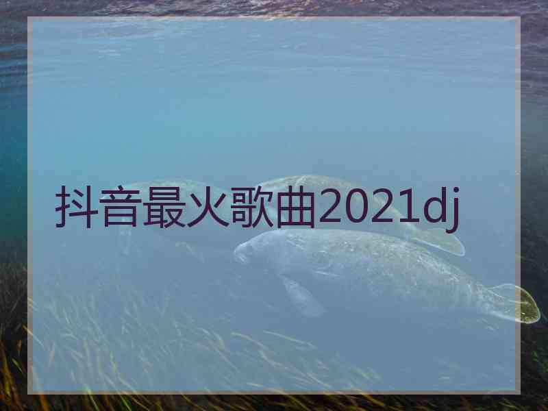 抖音最火歌曲2021dj