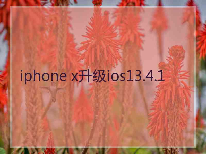 iphone x升级ios13.4.1