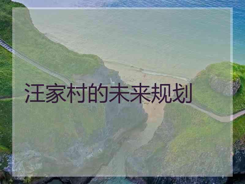 汪家村的未来规划