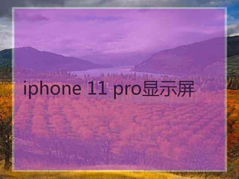 iphone 11 pro显示屏