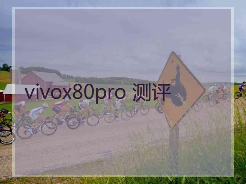 vivox80pro 测评