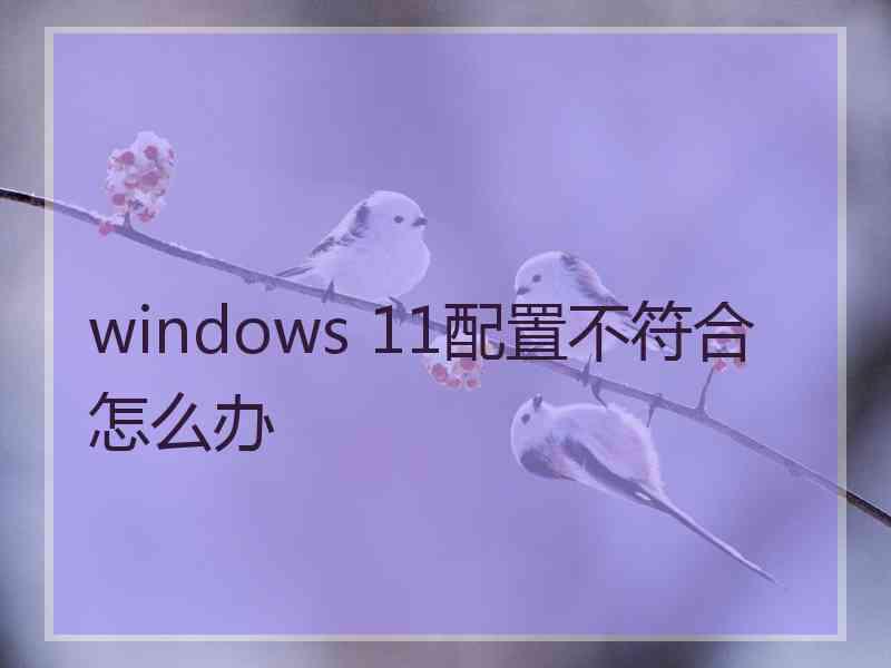 windows 11配置不符合怎么办