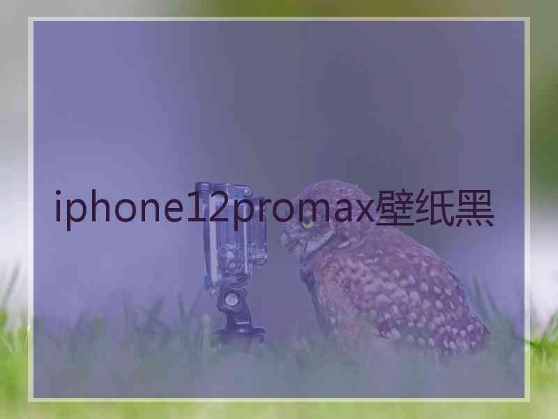 iphone12promax壁纸黑