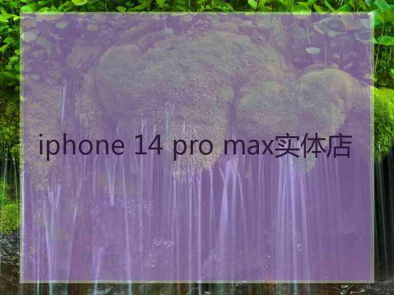 iphone 14 pro max实体店