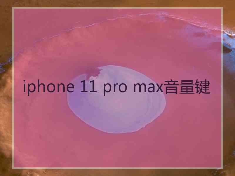 iphone 11 pro max音量键