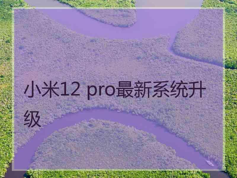 小米12 pro最新系统升级