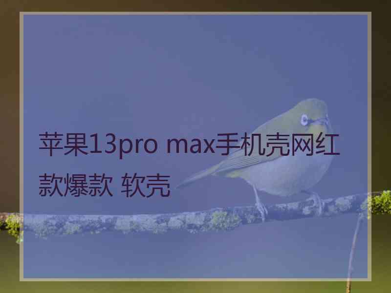 苹果13pro max手机壳网红款爆款 软壳