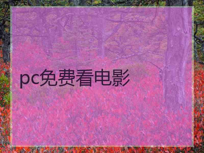 pc免费看电影