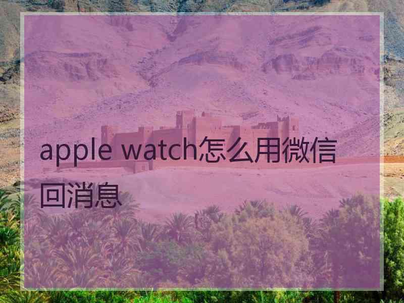 apple watch怎么用微信回消息