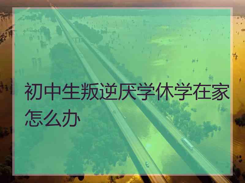 初中生叛逆厌学休学在家怎么办