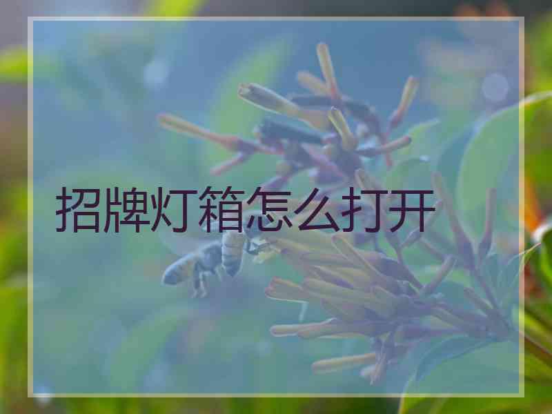 招牌灯箱怎么打开