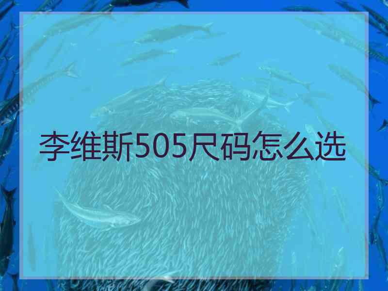 李维斯505尺码怎么选