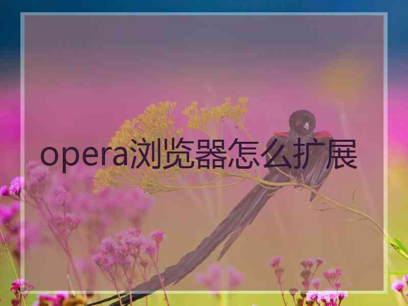 opera浏览器怎么扩展