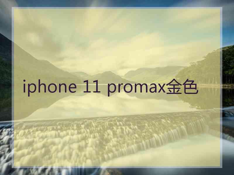 iphone 11 promax金色