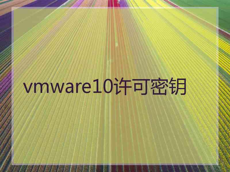 vmware10许可密钥