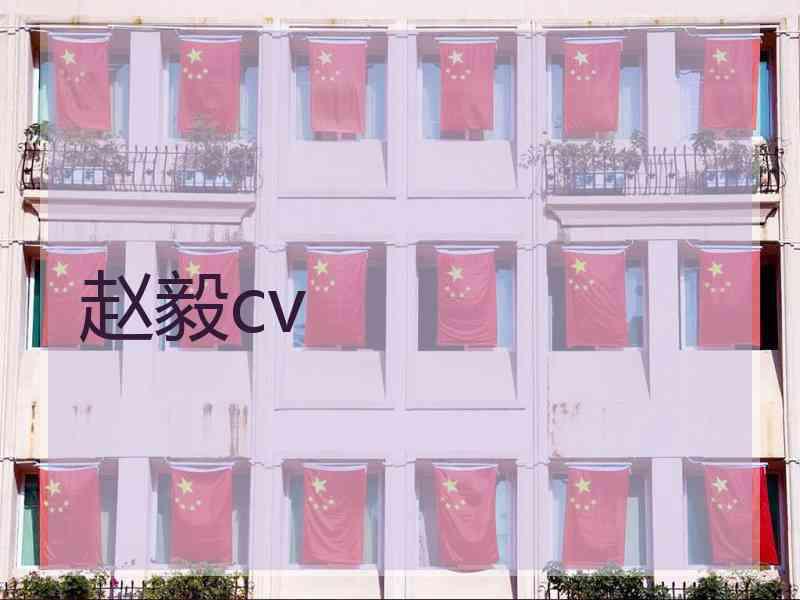 赵毅cv