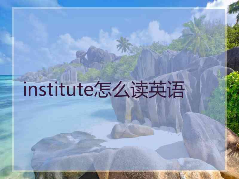 institute怎么读英语